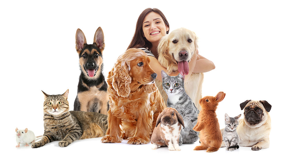 How to Franchise Your Pet Business on a Budget post thumbnail image