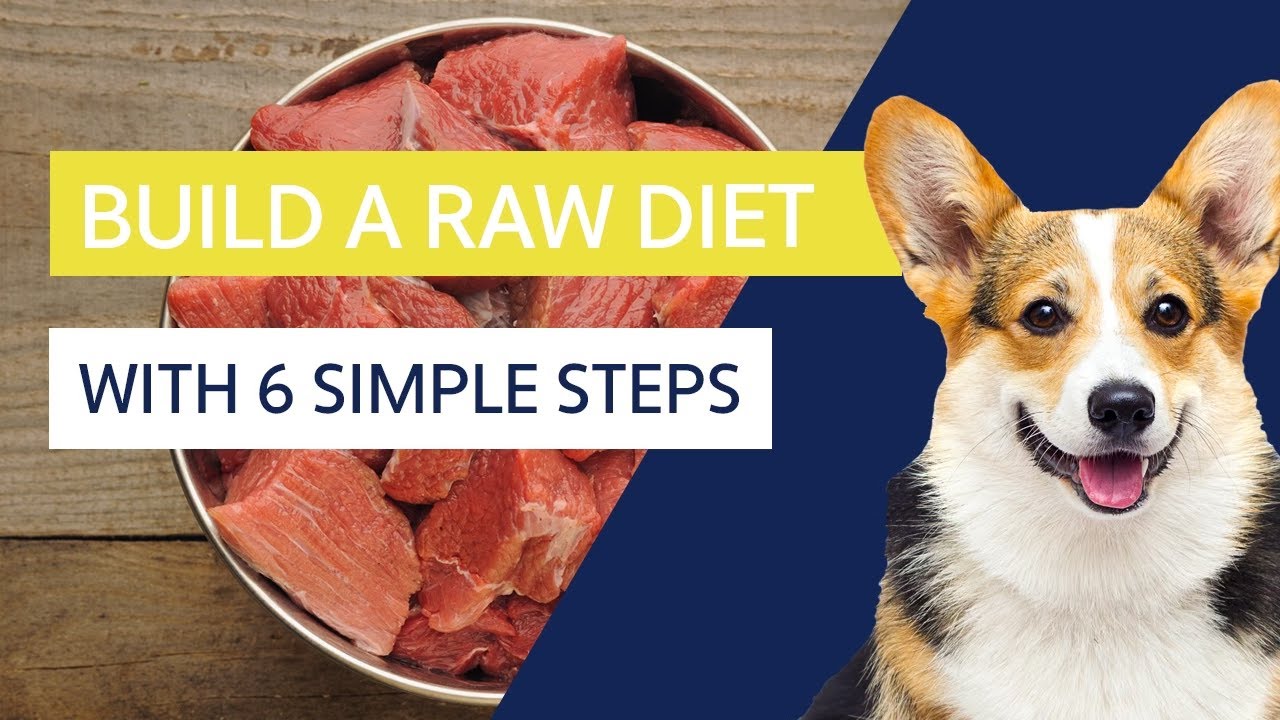 The raw dog food online is good if you want to alter the diet program routine of your respective dog post thumbnail image