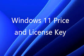 Appreciate Proficient Programming at Reasonable Costs – Shop for modest windows 11 keys Now! post thumbnail image