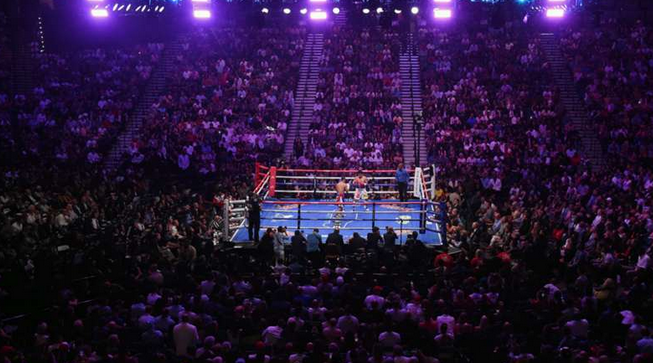 From Amateur Fights to Professional Championships: Live Streaming Options for Boxing Fans post thumbnail image