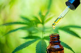 Unlock the Benefits of CBD with CBD Therapy’s Quality Selection of Products post thumbnail image