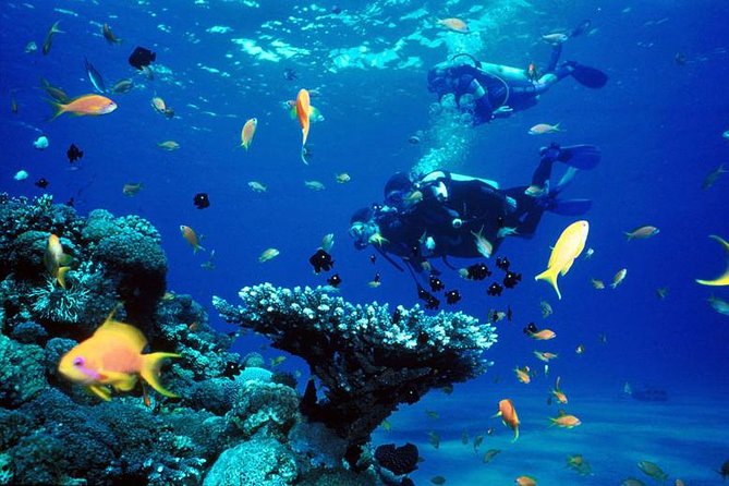 An Unforgettable Experience: Getting Underwater Beings and Plants and blossoms through Scuba Diving in Phuket post thumbnail image