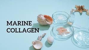 Unlock Youthful Skin with Marine Collagen: Benefits and Usage Guide post thumbnail image