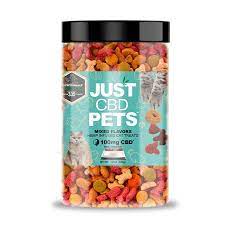 Pampering Your Pet with CBD Gummies for Dogs post thumbnail image
