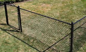Enclosing Eden: Understanding the Necessity of Fences post thumbnail image